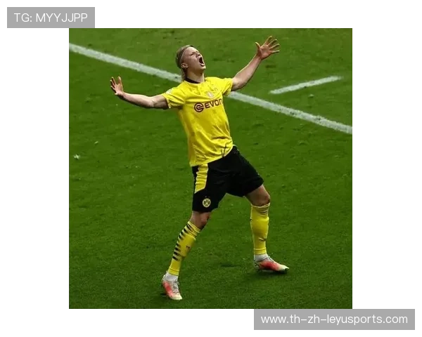 本菲卡看哈兰德式体格：豪门梦的全新起点