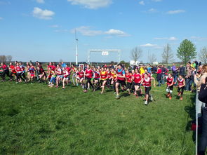 乐鱼体育app-青少年体育锻炼行为促进措施研究，《青少年体育活动促进计划》